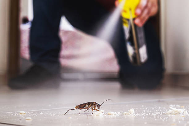 Best Commercial Pest Control Services  in Wilder, VT